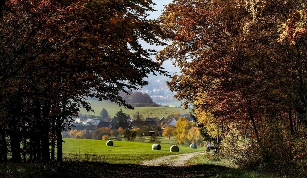Ferienwohnung Alpaka Blick Schneppenbach 外观 照片