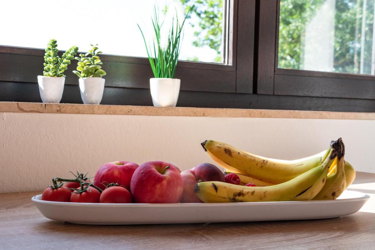 Ferienwohnung Alpaka Blick Schneppenbach 外观 照片