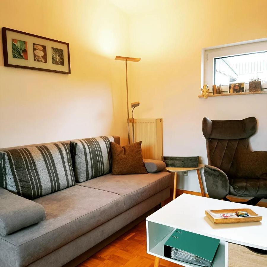 Ferienwohnung Alpaka Blick Schneppenbach 外观 照片